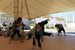 Contact Improvisation στην Κρήτη 2013